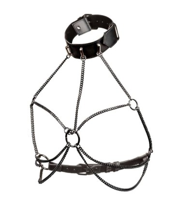 CALEXOTICS EUPHORIA ARNES DE CUELLO DE CADENA TALLA GRANDE