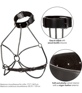 CALEXOTICS EUPHORIA ARNES DE CUELLO DE CADENA TALLA GRANDE