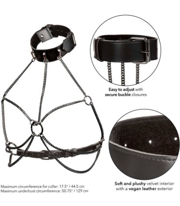 CALEXOTICS EUPHORIA ARNES DE CUELLO DE CADENA TALLA GRANDE