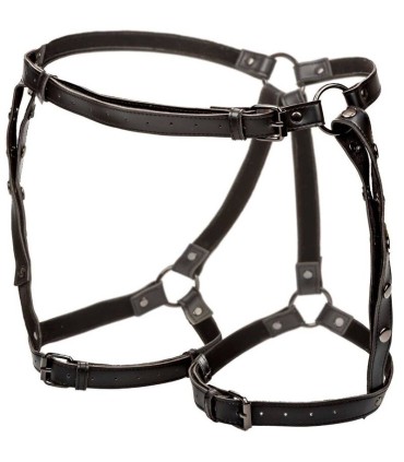 CALEXOTICS EUPHORIA ARNES DE MUSLO EQUITACION TALLA GRANDE