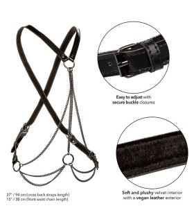 CALEXOTICS EUPHORIA ARNES DE MULTIPLES CADENAS PREMIUM