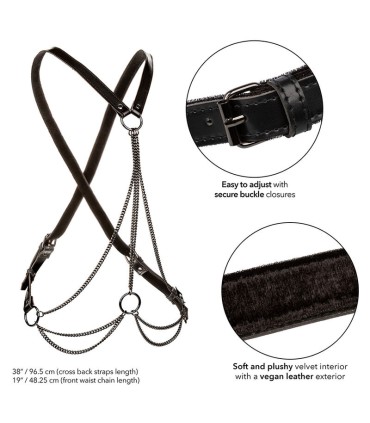 CALEXOTICS EUPHORIA ARNES DE MULTIPLES CADENAS PREMIUM TALLA PLUS