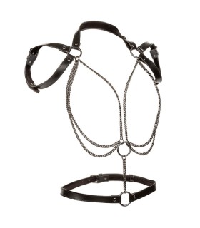 CALEXOTICS EUPHORIA ARNES ESTILO CABESTRO CON MULTIPLES CADENAS PREMIUM