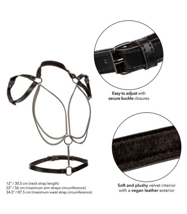 CALEXOTICS EUPHORIA ARNES ESTILO CABESTRO CON MULTIPLES CADENAS PREMIUM