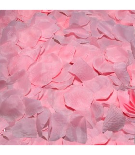 DIABLO PICANTE 100 PETALOS ROSA