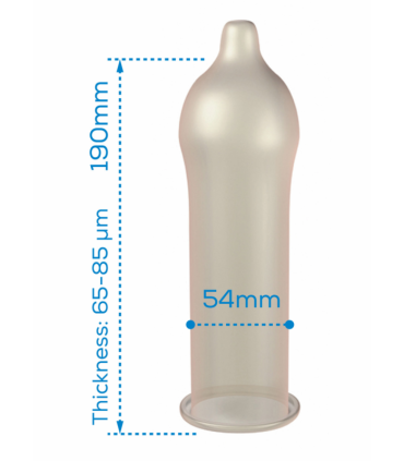 PASANTE CONDOM GAMA REGULAR 144 UNIDADES