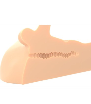 PDX PLUS MASTURBADOR PERFECT RIDE PENE Y ANO