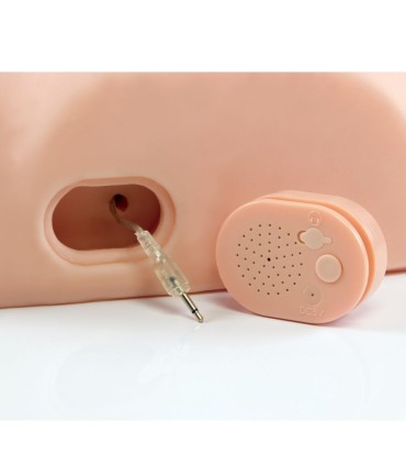 PDX MALE INTERACTIVE FUCK HIM SILLY MASTURBATOR INTERACTIVO