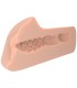 PDX PLUS MASTURBADOR PERFECT PUSSY DREAM STROKER