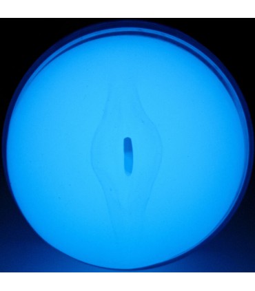 KIIROO FEEL GLOW IN THE DARK STROKER