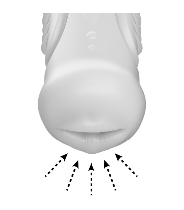 JAMYJOB HURRICANE SUCCIONADOR SEXO ORAL