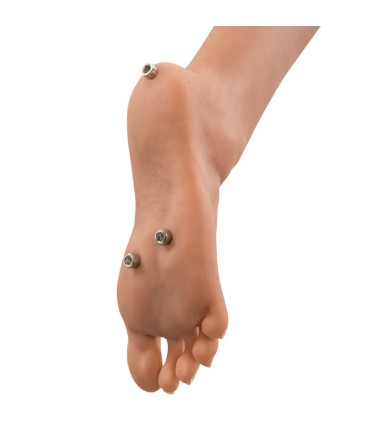 EXTREME TOYZ PIPEDREAM MUNECA ULTIMATE FANTASY DOLLS BIANCA 163 CM