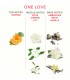 EYE OF LOVE EOL PHR PERFUME DELUXE 50 ML ONE LOVE