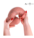 MR INTENSE EXTRABIG SPENCER DILDO SILICONA 28 CM O 73 CM