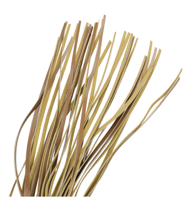 FETISH SUBMISSIVE ORIGEN LTIGO CUERO VEGANO