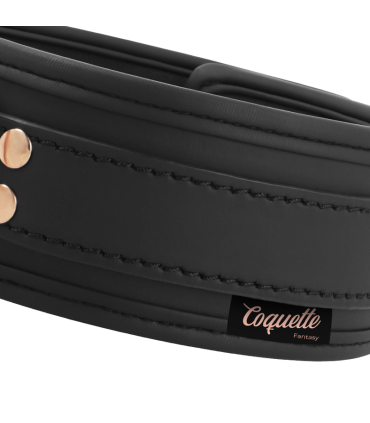 COQUETTE CHIC DESIRE FANTASY COLLAR CUERO VEGANO CON CORREA Y FORRO DE NEOPRENO