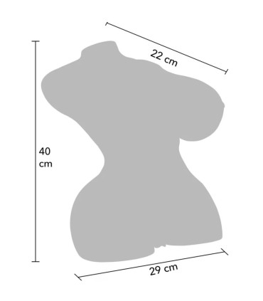 HIDDEN DESIRE HORNY MILKING BITCH TORSO MASTURBADOR FEMENINO 10 KG