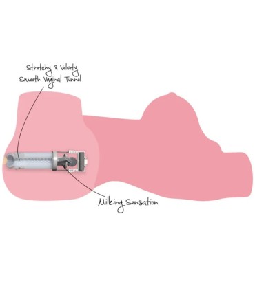 HIDDEN DESIRE HORNY MILKING BITCH TORSO MASTURBADOR FEMENINO 10 KG