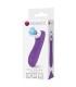 ROMANCE SUCCIONADOR DE CLITORIS CON TECNOLOGIA DE PULSACION MORADO