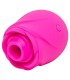 ROMP ROSE PINK SHAPED CLITORAL SUCTION TOOL