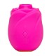 ROMP ROSE PINK SHAPED CLITORAL SUCTION TOOL