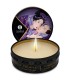 SHUNGA MINI CARESS BY CANDLELIGHT DISPLAY VELAS MASAJE 24 UDS
