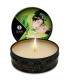 SHUNGA MINI CARESS BY CANDLELIGHT DISPLAY VELAS MASAJE 24 UDS