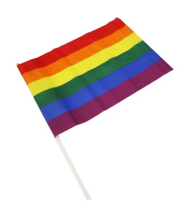 PRIDE BANDERIN MEDIANO BANDERA LGBT