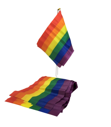 PRIDE BANDERIN PEQUENO BANDERA LGBT