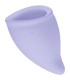 FUN FACTORY FUN COPA MENSTRUAL TALLA A VIOLETA