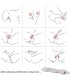 ARMONY ELK VIBRATOR RABBIT CURVED RED