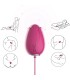 ARMONY MANDALA EGG VIBRATOR G SPOT REMOTE CONTROL FUCHSIA