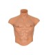 HIDDEN DESIRE ALTER EGO CAMISETA SILICONA TORSO MASCULINO CON ABDOMINALES NATURAL