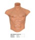 HIDDEN DESIRE ALTER EGO CAMISETA SILICONA TORSO MASCULINO CON ABDOMINALES NATURAL
